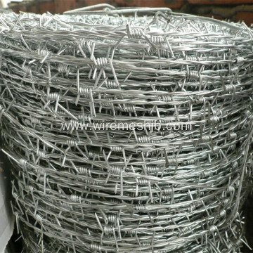 Galvanized Barbed Wire Double Strand Reverse Twist